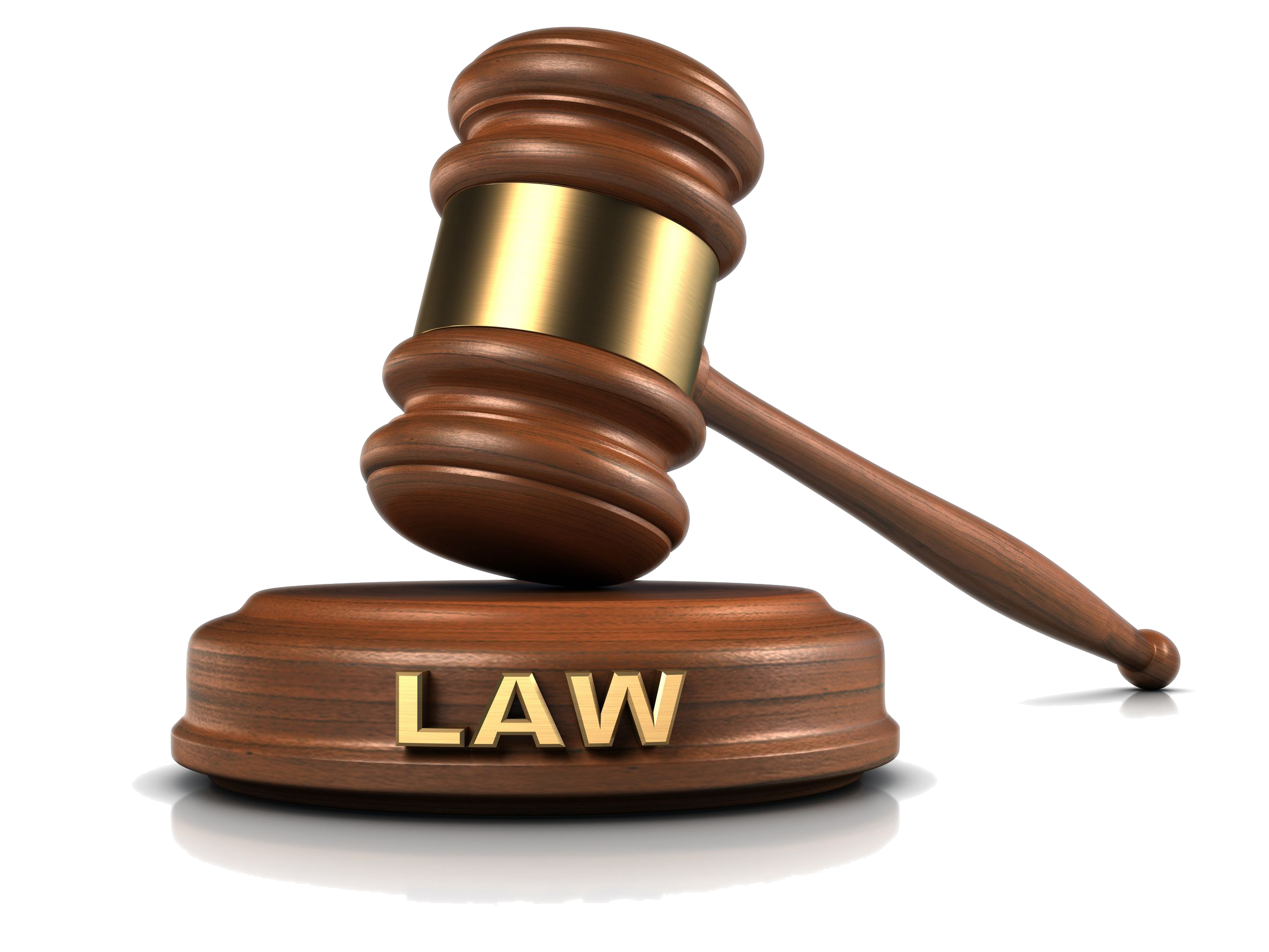 Family Court App preview